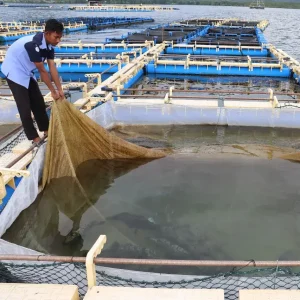 Jaring-Keramba-Apung-4